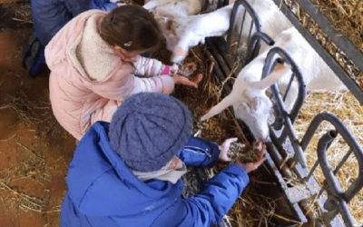 Stage de printemps à la ferme