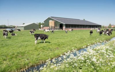 Comment adapter les bâtiments d’élevage aux changements climatiques ?