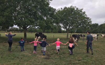 Stages à la ferme: dernière minute