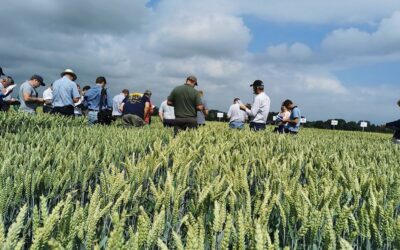 Visite des champs d’essais