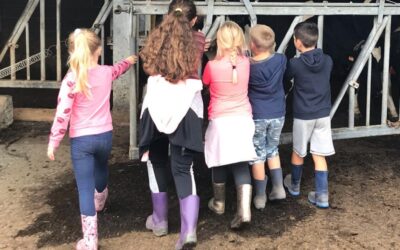 Stages d’été à la ferme