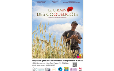 Le chemin des coquelicots